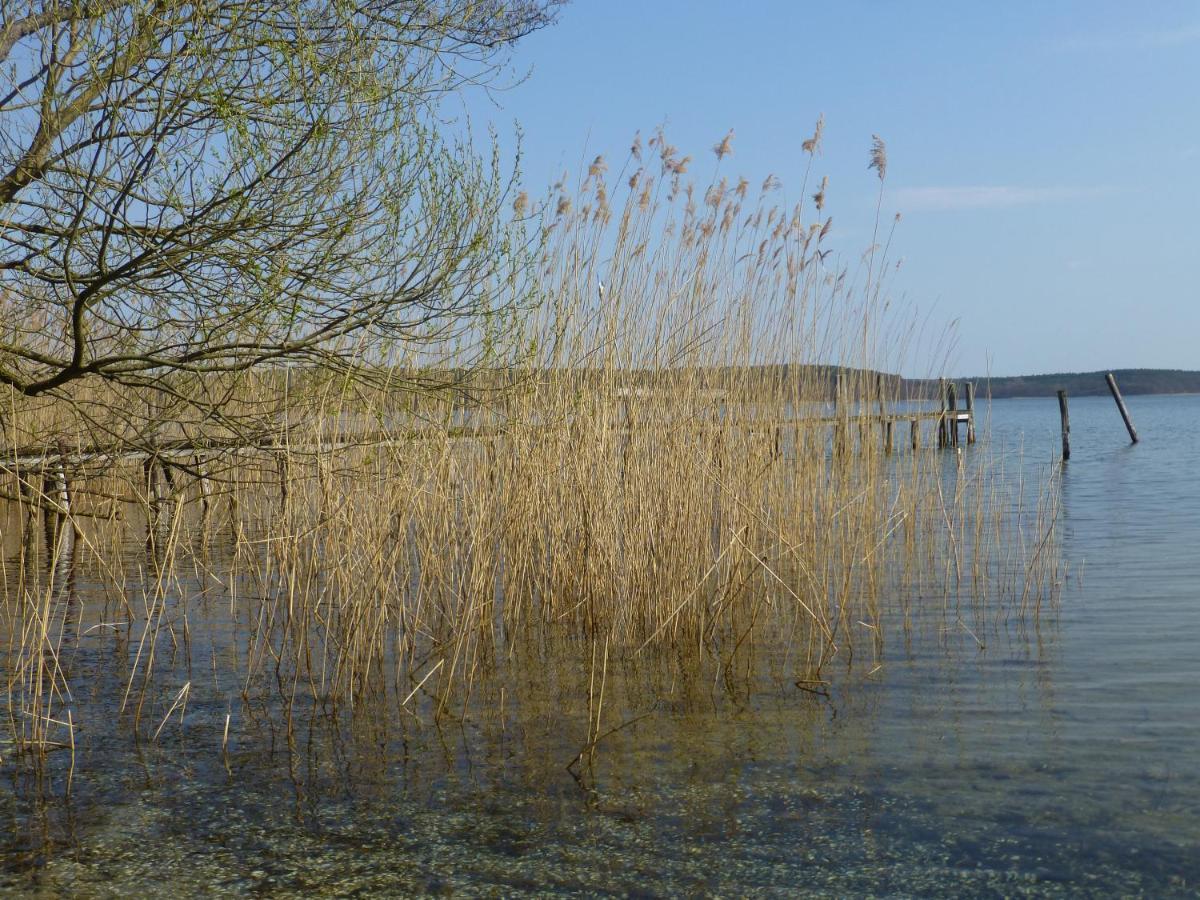 Altes Fischerhaus Villa Plau am See Buitenkant foto